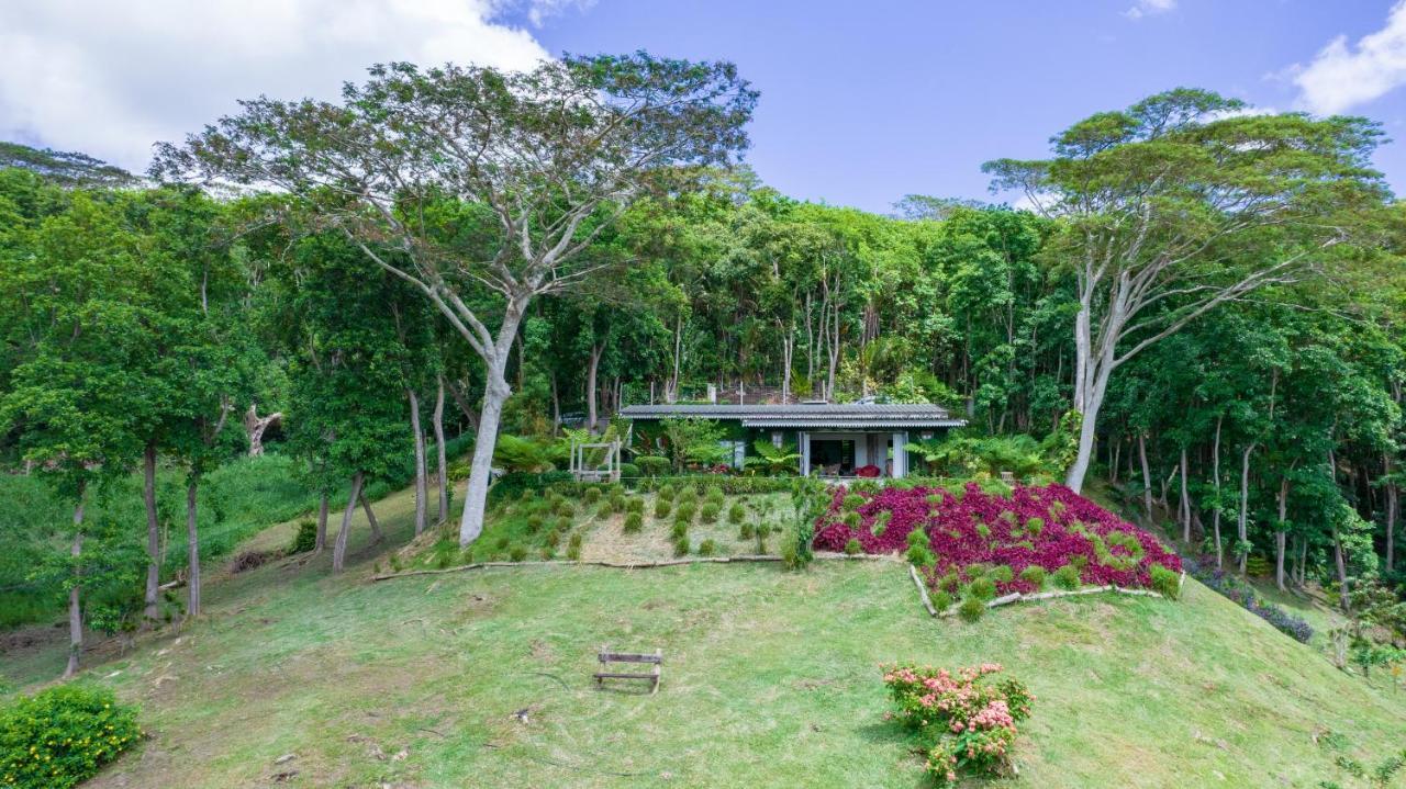 Lodge Green Cottage Chamarel